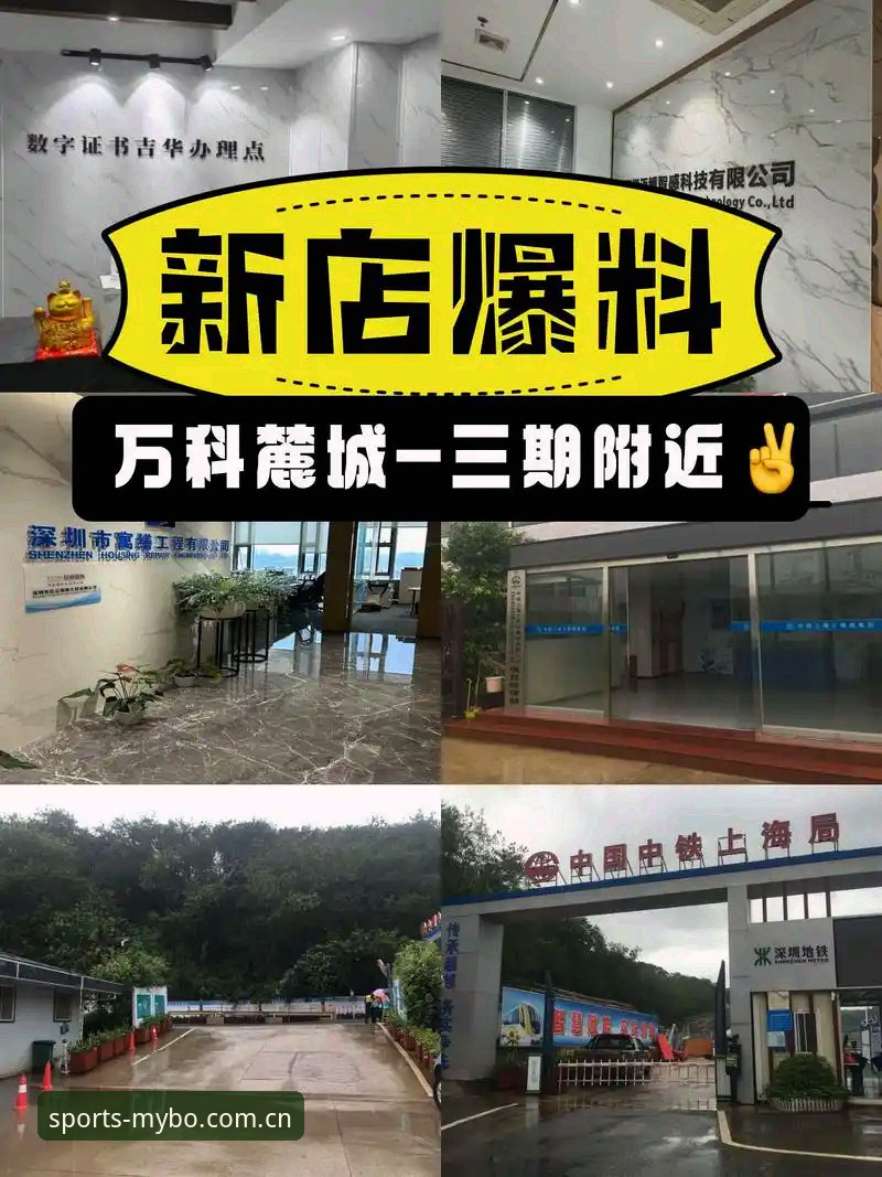 迈博是否合法 迈博是否合法?2024最新动态与实战操作指南